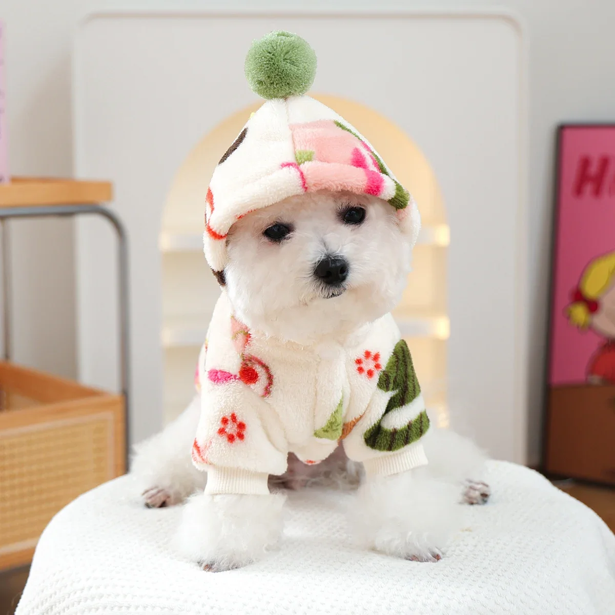 Puppy Clothes Are Thickened an - Winter Clothing Must Haves review and price