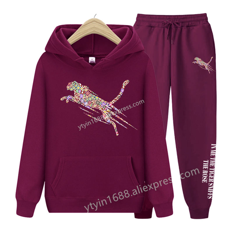 Womens TrackSuit  Aesthetic Sw - Fleece Hoodie Lined review and price