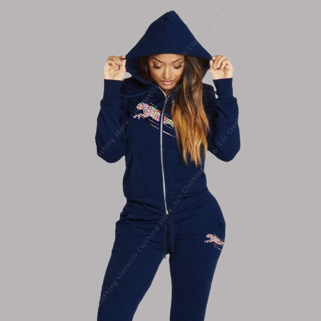 Women's Track Suit Aesthetic H - Fleece Hoodie Lined review and price
